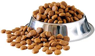 Dog Food Slogans Concept